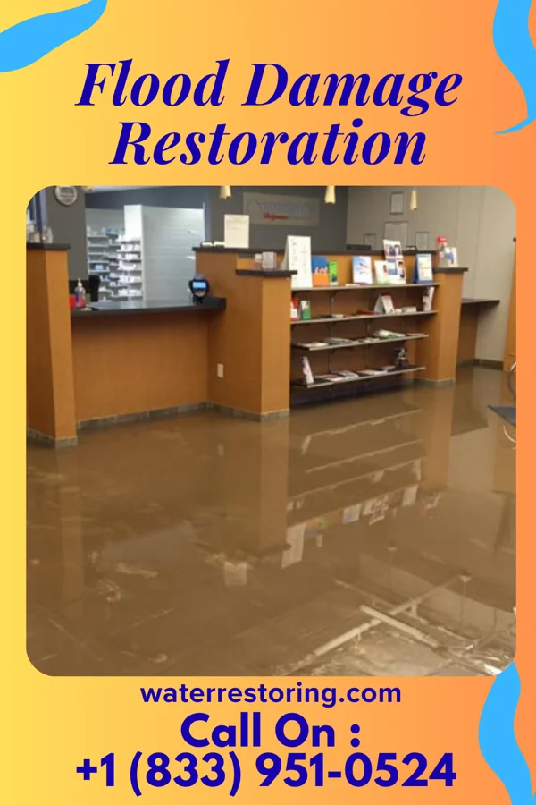 Flood Damage Restoration in Clarks Grove, MN