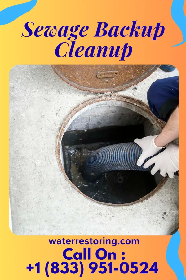 Sewage Backup Cleanup in Clarks Grove, MN