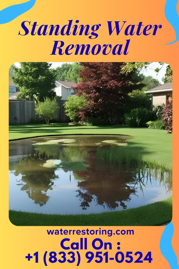 Standing Water Removal in Clarks Grove, MN
